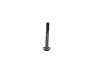 BOLT PAN HEAD - image 1