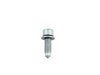 SCREW - image 2