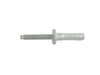 SCREW - image 4