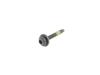 SCREW - image 1