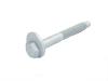 BOLT CAM - image 1