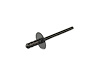 RIVET