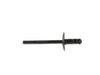 RIVET - image 3