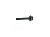 SCREW - image 3