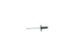 RIVET - image 2