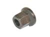 NUT - image 1