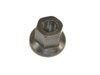NUT - image 3