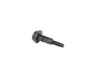 SCREW - image 2