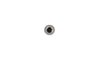 NUT - image 3