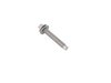 SCREW - image 2