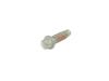 SCREW - image 1