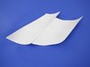 DECAL HOOD - image 2