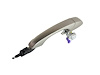 HANDLE EXTERIOR DOOR - image 1