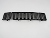 GRILLE LOWER - image 1