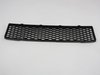 GRILLE LOWER - image 2