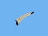 HANDLE EXTERIOR DOOR - image 1