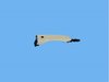 HANDLE EXTERIOR DOOR - image 4