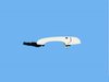 HANDLE EXTERIOR DOOR - image 3