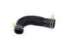 HOSE RADIATOR OUTLET - image 4