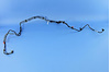 BUNDLE FUEL LINE - image 1