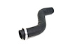HOSE FUEL FILLER - image 1