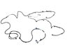 WIRING BODY LEFT - image 2