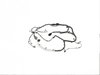 WIRING TRANSMISSION - image 3
