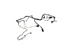 WIRING TRANSMISSION - image 1