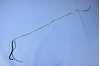 TUBE FUEL SUPPLY - image 1