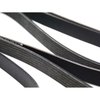 BELT ACCESSORY DRIVE - image 2
