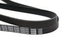 BELT ACCESSORY DRIVE - image 2