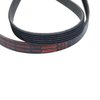 BELT SERPENTINE - image 2
