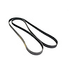 BELT SERPENTINE - image 1
