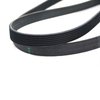 BELT SERPENTINE - image 2