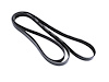 BELT ACCESSORY DRIVE - image 1