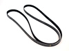BELT SERPENTINE - image 1