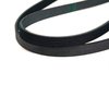 BELT SERPENTINE - image 2