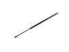 PROP/GAS LIFTGATE GAS CYL - image 2