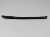 W/STRIP FRONT DOOR BELT - image 1