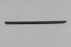 W/STRIP DOOR BELT OUTER - image 1