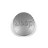 WHEEL CENTER CAP - image 1