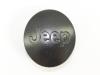 WHEEL CENTER CAP - image 1