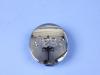 WHEEL CENTER CAP - image 1