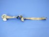 SEAT BELT REAR OUTER - image 2
