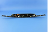 APPLIQUE LICENSE LAMP - image 1