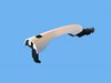 HANDLE FRONT DOOR EXTEROR - image 2