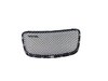 GRILLE RADIATOR - image 2