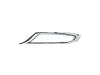 BEZEL FRONT FASCIA - image 1
