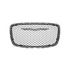 GRILLE RADIATOR - image 1