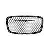 GRILLE RADIATOR - image 1